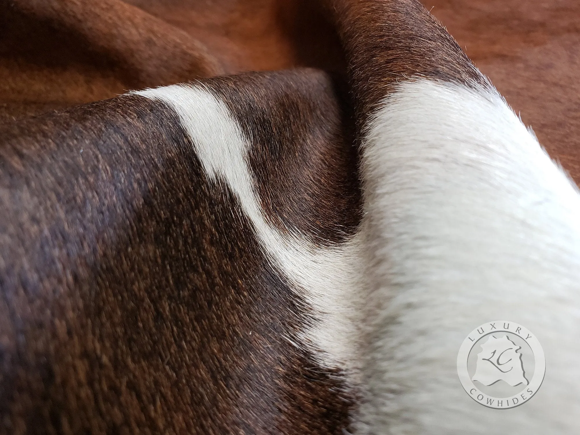 Black and White Reddish Cowhide Rug