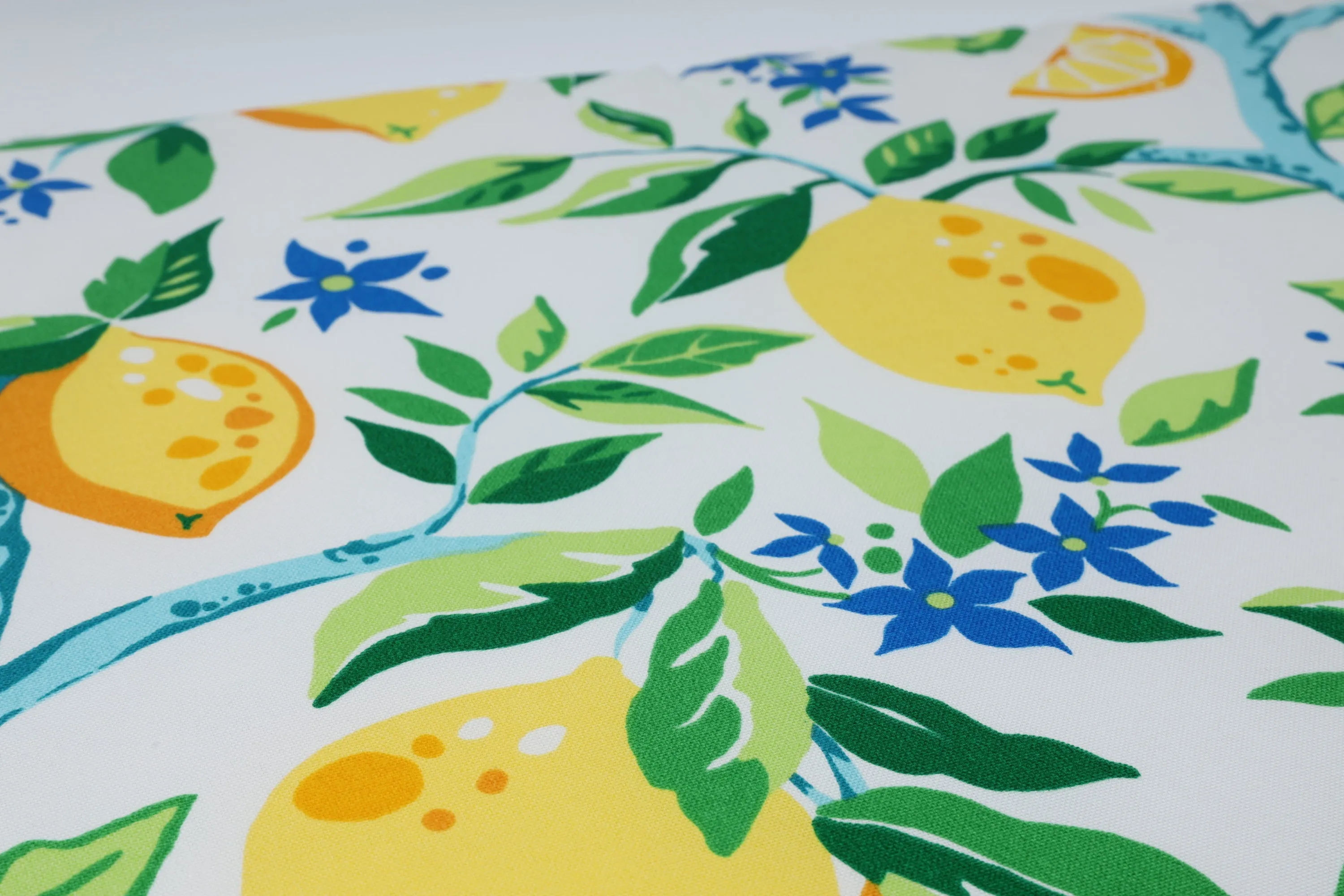 Lemon Tree Yellow Wicker Seat Cushion (Set Of 2)